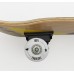 Skateboard dřevěný max.100kg minnie amazing holo 59197