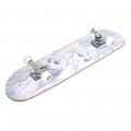 Skateboard dřevěný max.80kg ledové království frozen II 59979